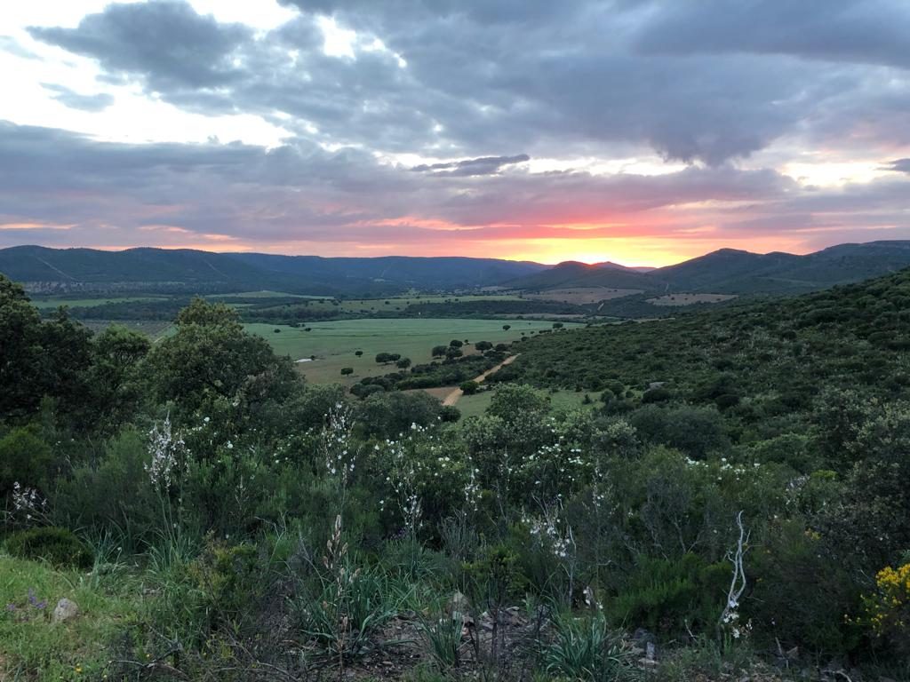 Montes de Toledo Estate