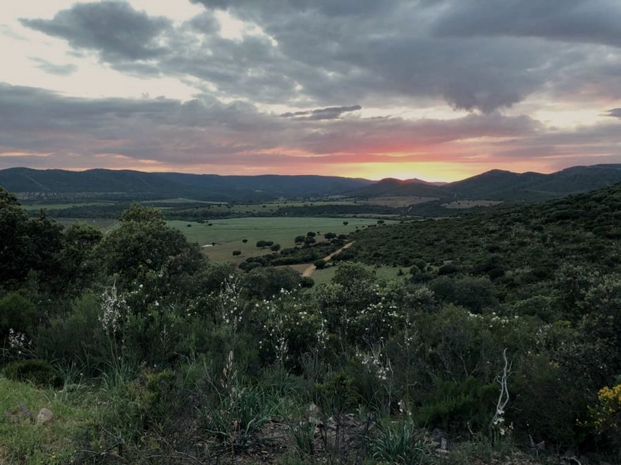 Montes de Toledo Estate