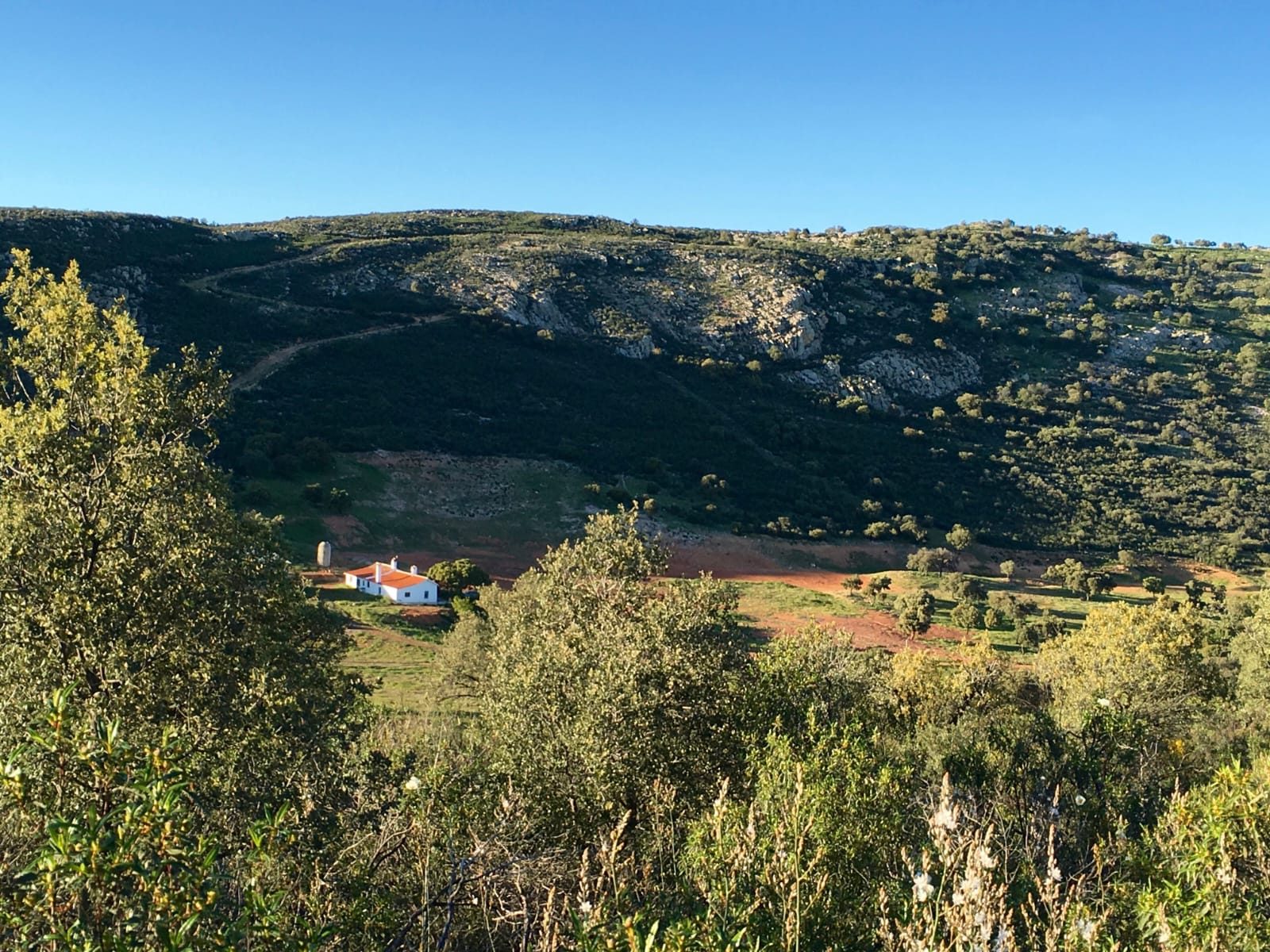 Estate in Ciudad Real