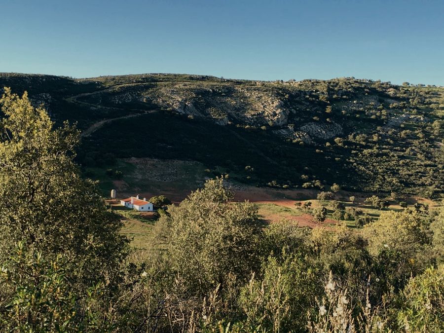 Estate in Ciudad Real
