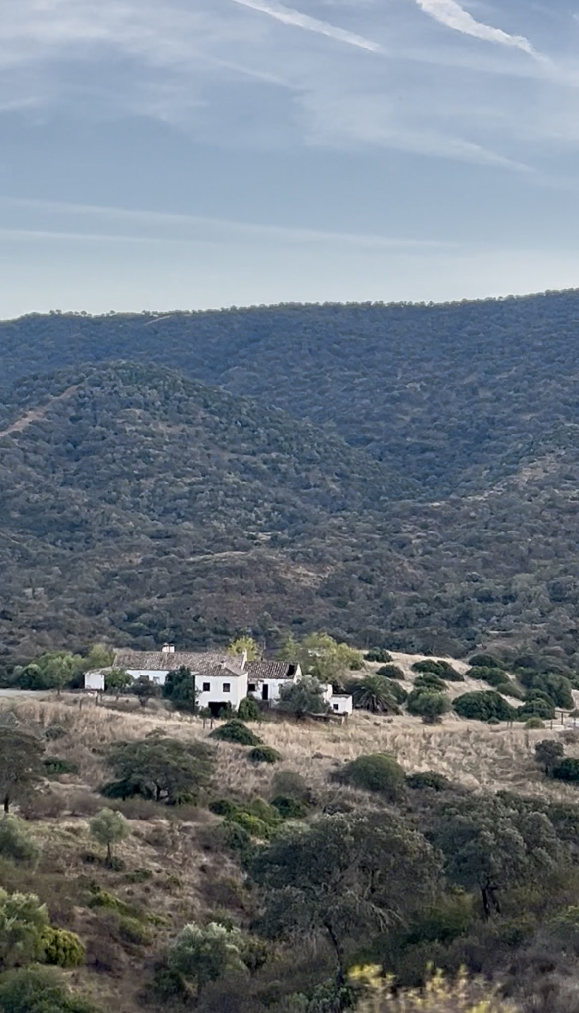 Estate in Córdoba