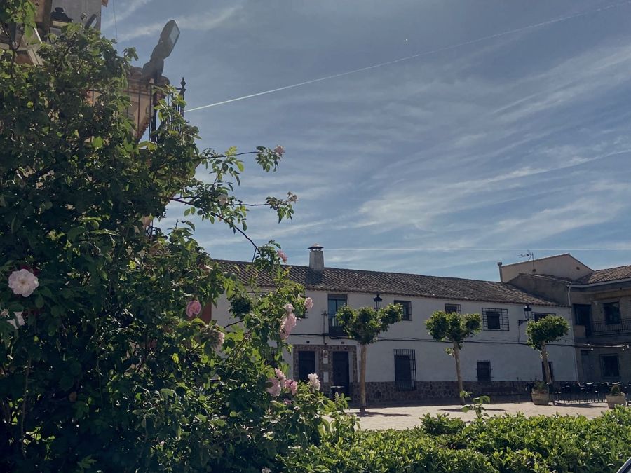 Estate in Toledo