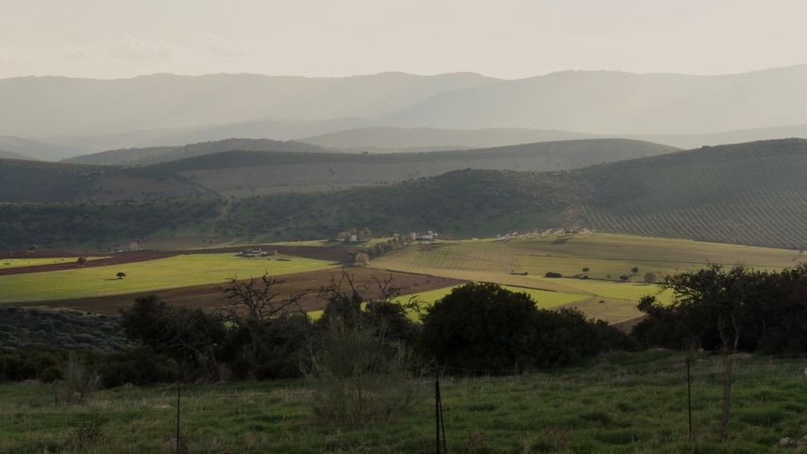 Ciudad Real Estate