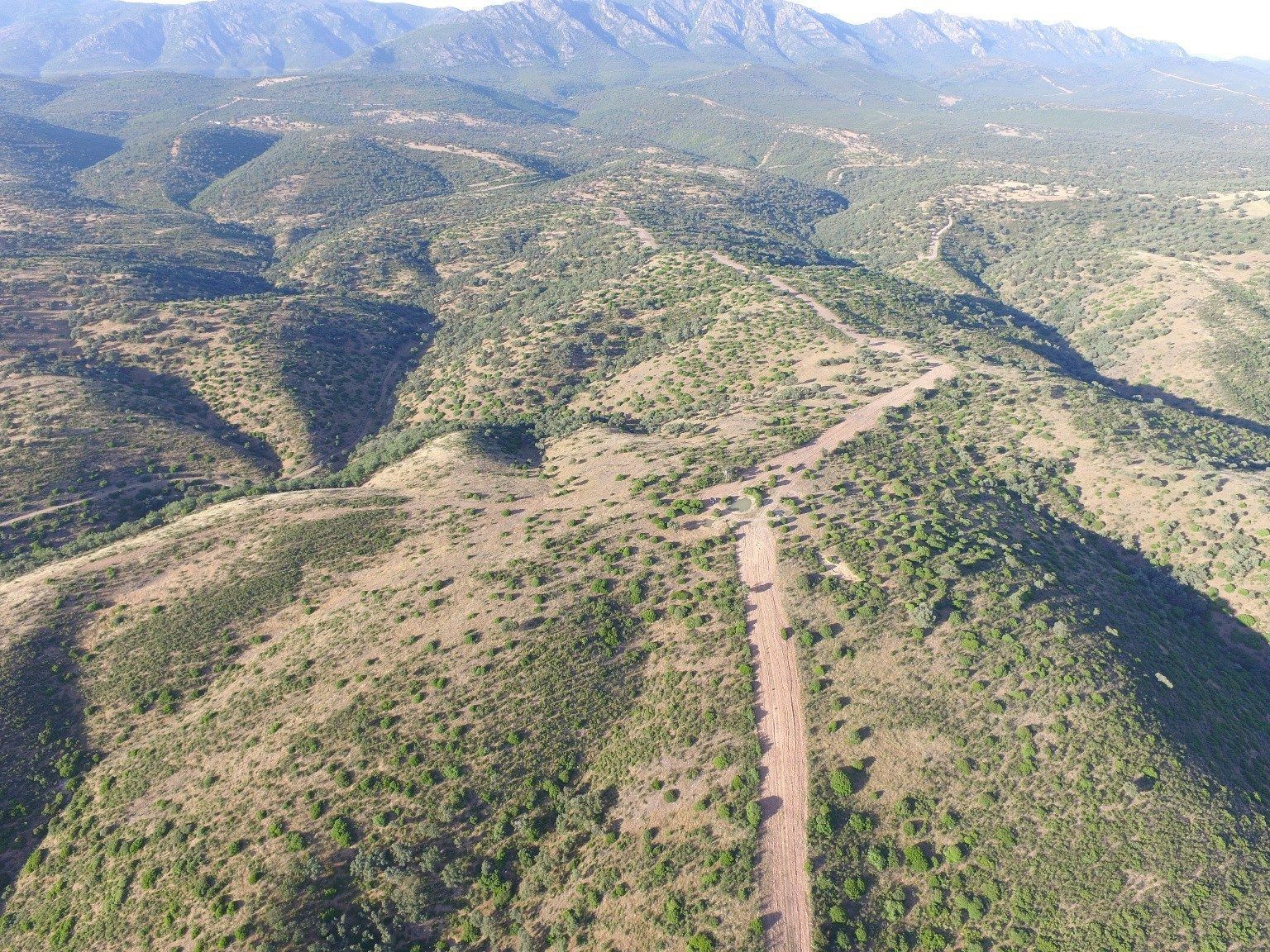 Vista aérea de lomas con monte bajo y caminos